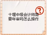 十堰中级会计师需要年审吗怎么操作