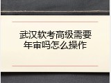 武汉软考高级需要年审吗怎么操作