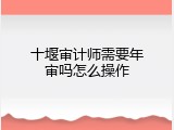 十堰审计师需要年审吗怎么操作