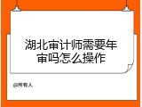 湖北审计师需要年审吗怎么操作