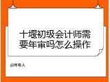 十堰初级会计师需要年审吗怎么操作