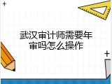 武汉审计师需要年审吗怎么操作