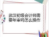武汉初级会计师需要年审吗怎么操作