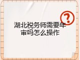 湖北税务师需要年审吗怎么操作
