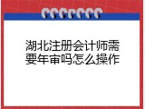 湖北注册会计师需要年审吗怎么操作