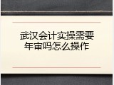 武汉会计实操需要年审吗怎么操作