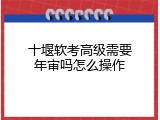 十堰软考高级需要年审吗怎么操作