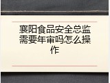 襄阳食品安全总监需要年审吗怎么操作