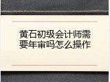 黄石初级会计师需要年审吗怎么操作