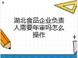 湖北食品企业负责人需要年审吗怎么操作