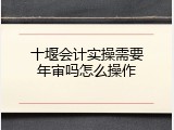 十堰会计实操需要年审吗怎么操作