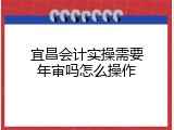 宜昌会计实操需要年审吗怎么操作