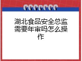 湖北食品安全总监需要年审吗怎么操作