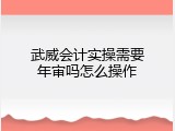 武威会计实操需要年审吗怎么操作