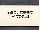 金昌会计实操需要年审吗怎么操作