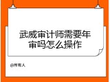武威审计师需要年审吗怎么操作