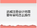 武威注册会计师需要年审吗怎么操作