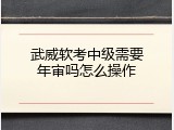 武威软考中级需要年审吗怎么操作