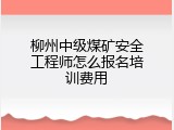 柳州中级煤矿安全工程师怎么报名培训费用