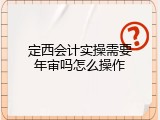 定西会计实操需要年审吗怎么操作