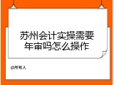 苏州会计实操需要年审吗怎么操作