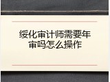 绥化审计师需要年审吗怎么操作