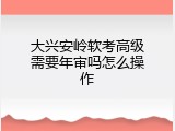 大兴安岭软考高级需要年审吗怎么操作