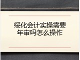 绥化会计实操需要年审吗怎么操作