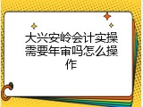 大兴安岭会计实操需要年审吗怎么操作