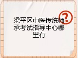 梁平区中医传统师承考试指导中心哪里有