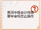 黑河中级会计师需要年审吗怎么操作
