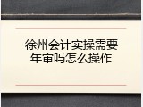 徐州会计实操需要年审吗怎么操作
