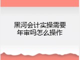 黑河会计实操需要年审吗怎么操作