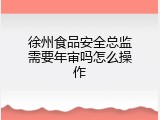 徐州食品安全总监需要年审吗怎么操作