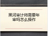 黑河审计师需要年审吗怎么操作