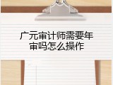 广元审计师需要年审吗怎么操作