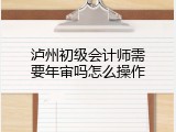 泸州初级会计师需要年审吗怎么操作