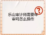 乐山审计师需要年审吗怎么操作