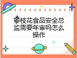 攀枝花食品安全总监需要年审吗怎么操作