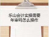 乐山会计实操需要年审吗怎么操作