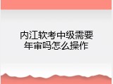 内江软考中级需要年审吗怎么操作