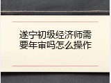 遂宁初级经济师需要年审吗怎么操作