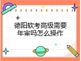 德阳软考高级需要年审吗怎么操作