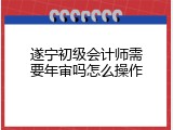遂宁初级会计师需要年审吗怎么操作