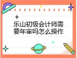 乐山初级会计师需要年审吗怎么操作
