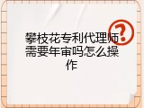攀枝花专利代理师需要年审吗怎么操作