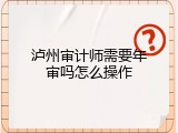 泸州审计师需要年审吗怎么操作