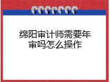 绵阳审计师需要年审吗怎么操作