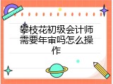 攀枝花初级会计师需要年审吗怎么操作
