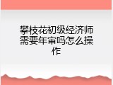 攀枝花初级经济师需要年审吗怎么操作